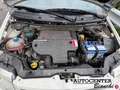 Fiat Panda Panda 1.3 mjt 16v Climbing 4x4 Wit - thumbnail 22