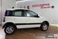Fiat Panda Panda 1.3 mjt 16v Climbing 4x4 Wit - thumbnail 3