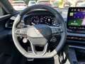 CUPRA Terramar 1.5 eTSI Digital Drive Pure Performance Grau - thumbnail 19