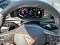 CUPRA Terramar 1.5 eTSI Digital Drive Pure Performance Grau - thumbnail 25
