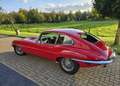Jaguar E-Type 4.2 2+2 sehr gepflegter Zustand Czerwony - thumbnail 3