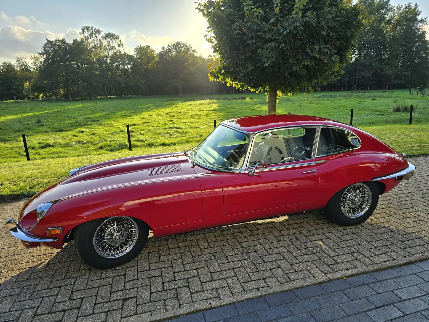 Jaguar E-Type 4.2 2+2 sehr gepflegter Zustand Czerwony - 2