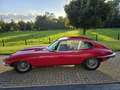 Jaguar E-Type 4.2 2+2 sehr gepflegter Zustand Czerwony - thumbnail 1