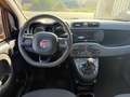 Fiat Panda Panda 1.2 Pop s - thumbnail 7