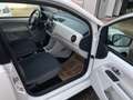Volkswagen up! Up 1,0 move up! TRAUM ZUSTAND#ÖAMTC-PICKERL# Weiß - thumbnail 13