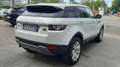 Land Rover Range Rover Evoque 5p 2.2 td4 Prestige 150cv Ottime Condizioni Bianco - thumbnail 5