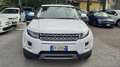 Land Rover Range Rover Evoque 5p 2.2 td4 Prestige 150cv Ottime Condizioni Bianco - thumbnail 7