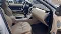 Land Rover Range Rover Evoque 5p 2.2 td4 Prestige 150cv Ottime Condizioni Bianco - thumbnail 14