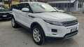 Land Rover Range Rover Evoque 5p 2.2 td4 Prestige 150cv Ottime Condizioni Bianco - thumbnail 6
