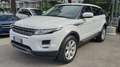 Land Rover Range Rover Evoque 5p 2.2 td4 Prestige 150cv Ottime Condizioni Bianco - thumbnail 1