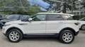 Land Rover Range Rover Evoque 5p 2.2 td4 Prestige 150cv Ottime Condizioni Bianco - thumbnail 2