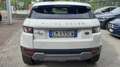Land Rover Range Rover Evoque 5p 2.2 td4 Prestige 150cv Ottime Condizioni Bianco - thumbnail 4