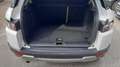 Land Rover Range Rover Evoque 5p 2.2 td4 Prestige 150cv Ottime Condizioni Bianco - thumbnail 13