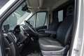 Fiat Ducato Horsetruck | Dubbele cabine 5-Persoons | 2-Paards Grijs - thumbnail 3