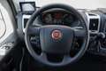 Fiat Ducato Horsetruck | Dubbele cabine 5-Persoons | 2-Paards Grijs - thumbnail 16
