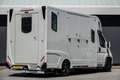 Fiat Ducato Horsetruck | Dubbele cabine 5-Persoons | 2-Paards Grijs - thumbnail 2