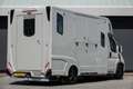 Fiat Ducato Horsetruck | Dubbele cabine 5-Persoons | 2-Paards Grijs - thumbnail 42