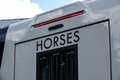 Fiat Ducato Horsetruck | Dubbele cabine 5-Persoons | 2-Paards Grijs - thumbnail 40