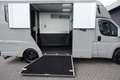 Fiat Ducato Horsetruck | Dubbele cabine 5-Persoons | 2-Paards Grijs - thumbnail 5