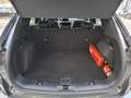 Ford Kuga 1.5 Eco Boost ST-Line X Grau - thumbnail 10