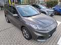 Ford Kuga 1.5 Eco Boost ST-Line X Grau - thumbnail 4