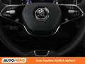 Skoda Kodiaq 2.0 TDI Scout 4x4 Blau - thumbnail 19