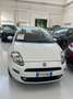 Fiat Punto Punto 1.4 8V 5 porte Easypower Street Bianco - thumbnail 15