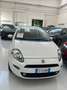 Fiat Punto Punto 1.4 8V 5 porte Easypower Street Weiß - thumbnail 14