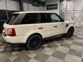 Land Rover Range Rover Sport 3.6 TDV8 AUTOBIOGRAPHY Bianco - thumbnail 3