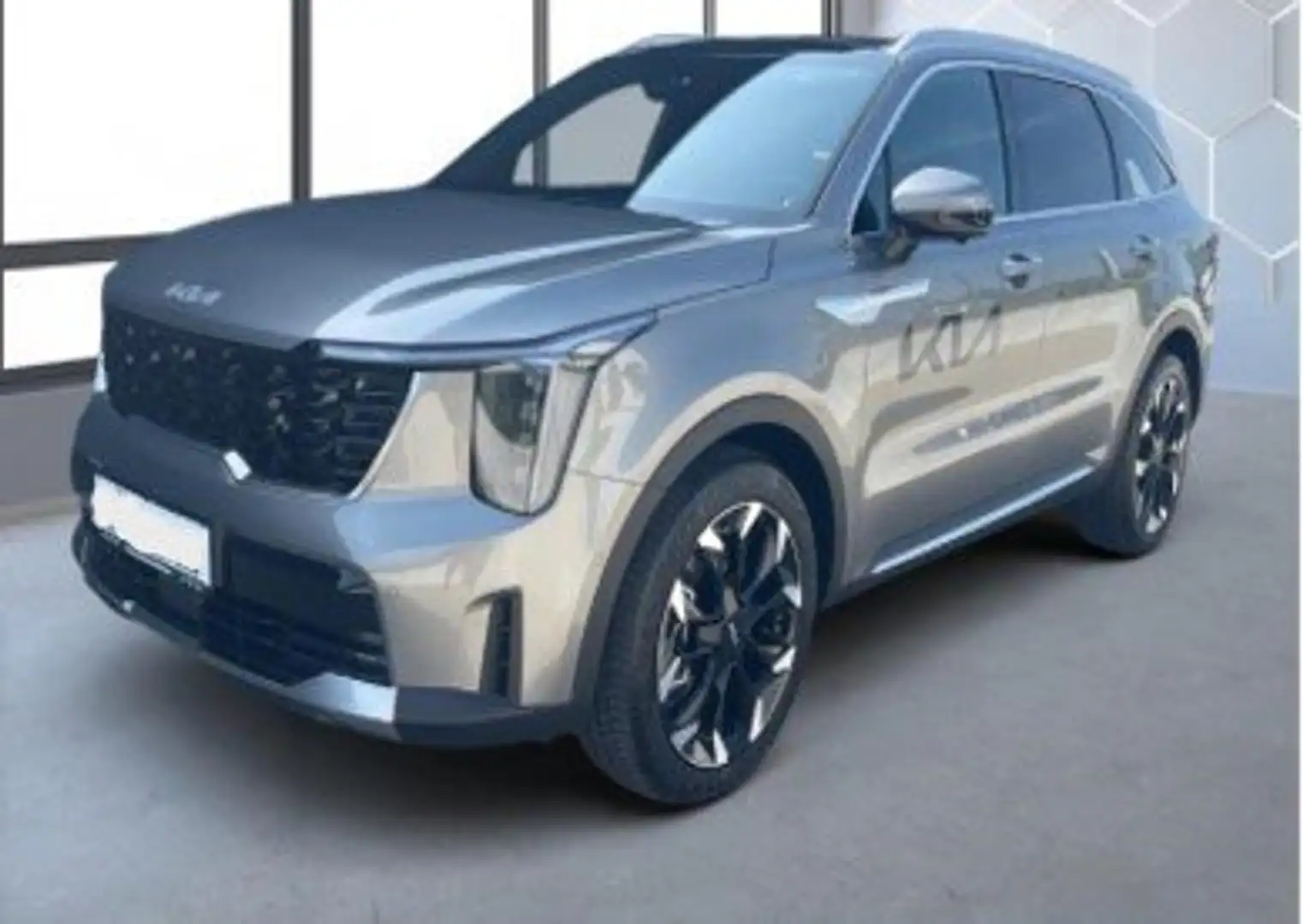 Kia Sorento Platinum 4WD Grau - 1