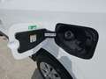 Ford Transit Courier Trend 1,0L Eboost 100PS M FWD Weiß - thumbnail 25