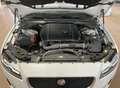 Jaguar XF STATION 2.0d i4 R-Sport 4X4 180cv PERFETTA-ENTRA Blanc - thumbnail 13