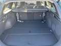 Kia Ceed / cee'd CEED_SW 1.5T 140 DCT7 PLAT GD Grün - thumbnail 11