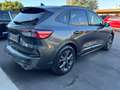 Ford Kuga Kuga 2.0 EcoBlue 190 CV aut. AWD ST-Line X DISTRIB Grigio - thumbnail 5