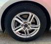Ford Focus Focus 1.5 EcoBlue 120 CV automatico SW Active Co-P Gris - thumbnail 26