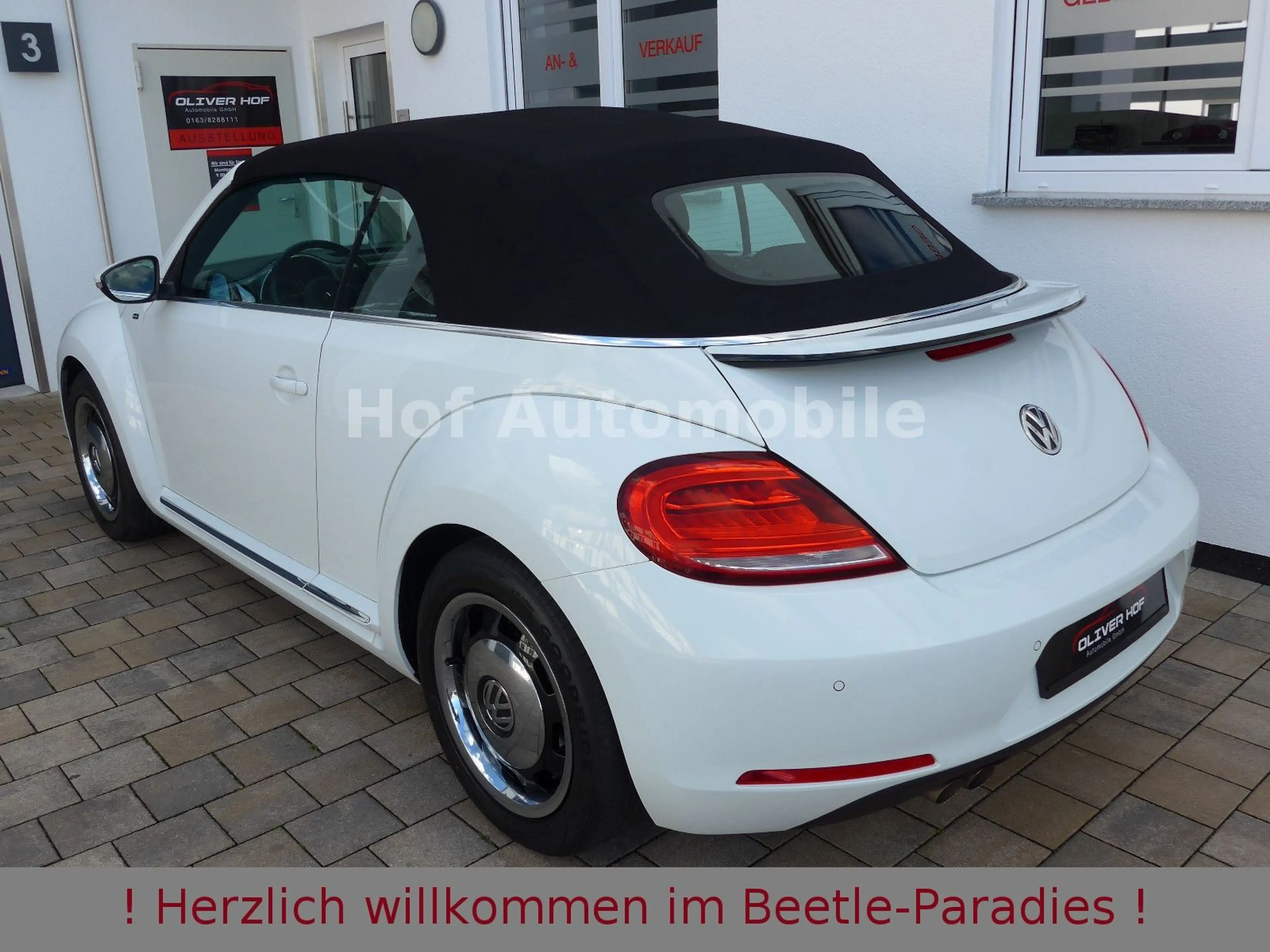 Volkswagen Beetle 1.4TSI Allstar-Plus Xenon Kamera AHK 1.HD — photo 4