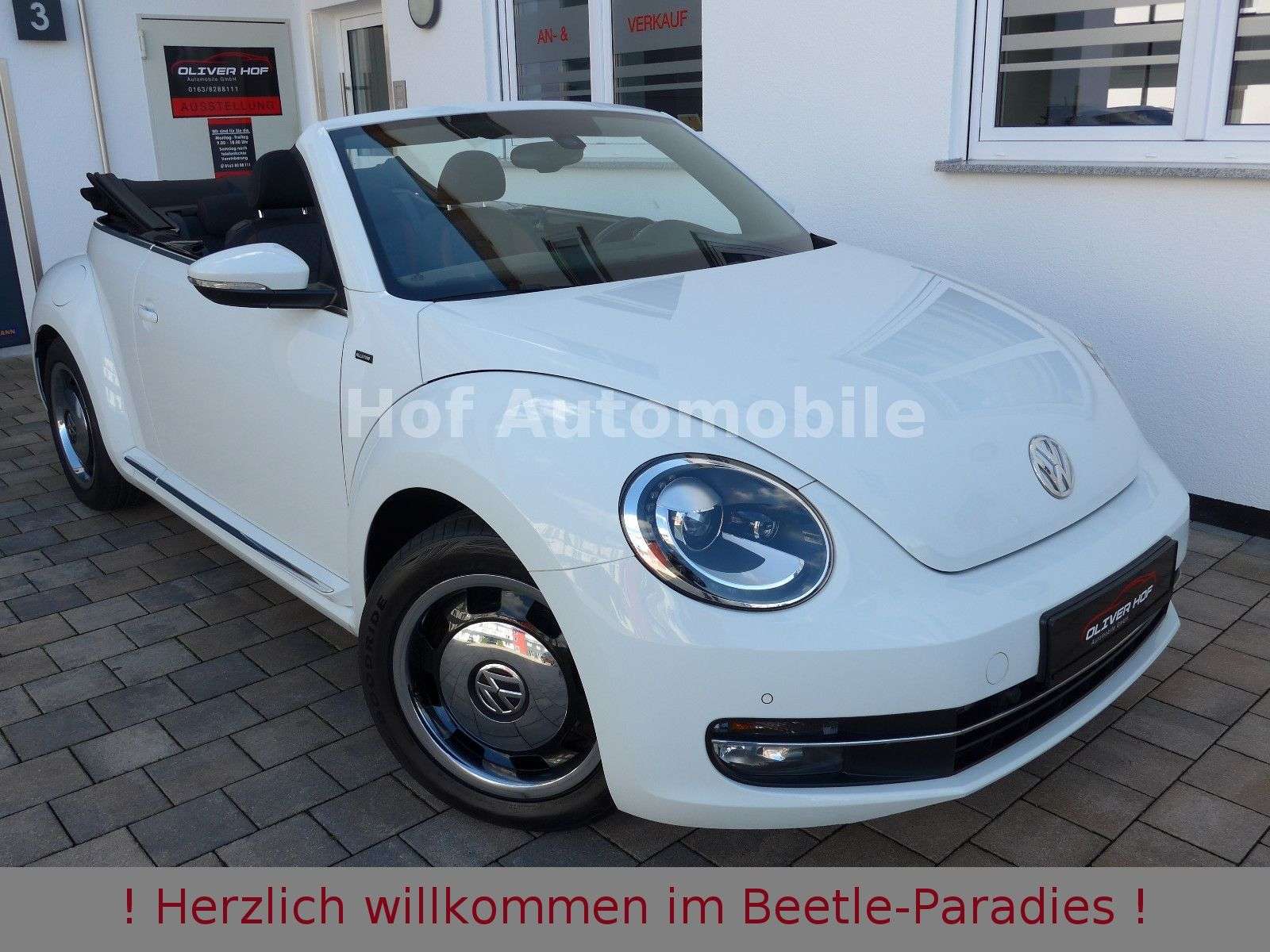 Volkswagen Beetle