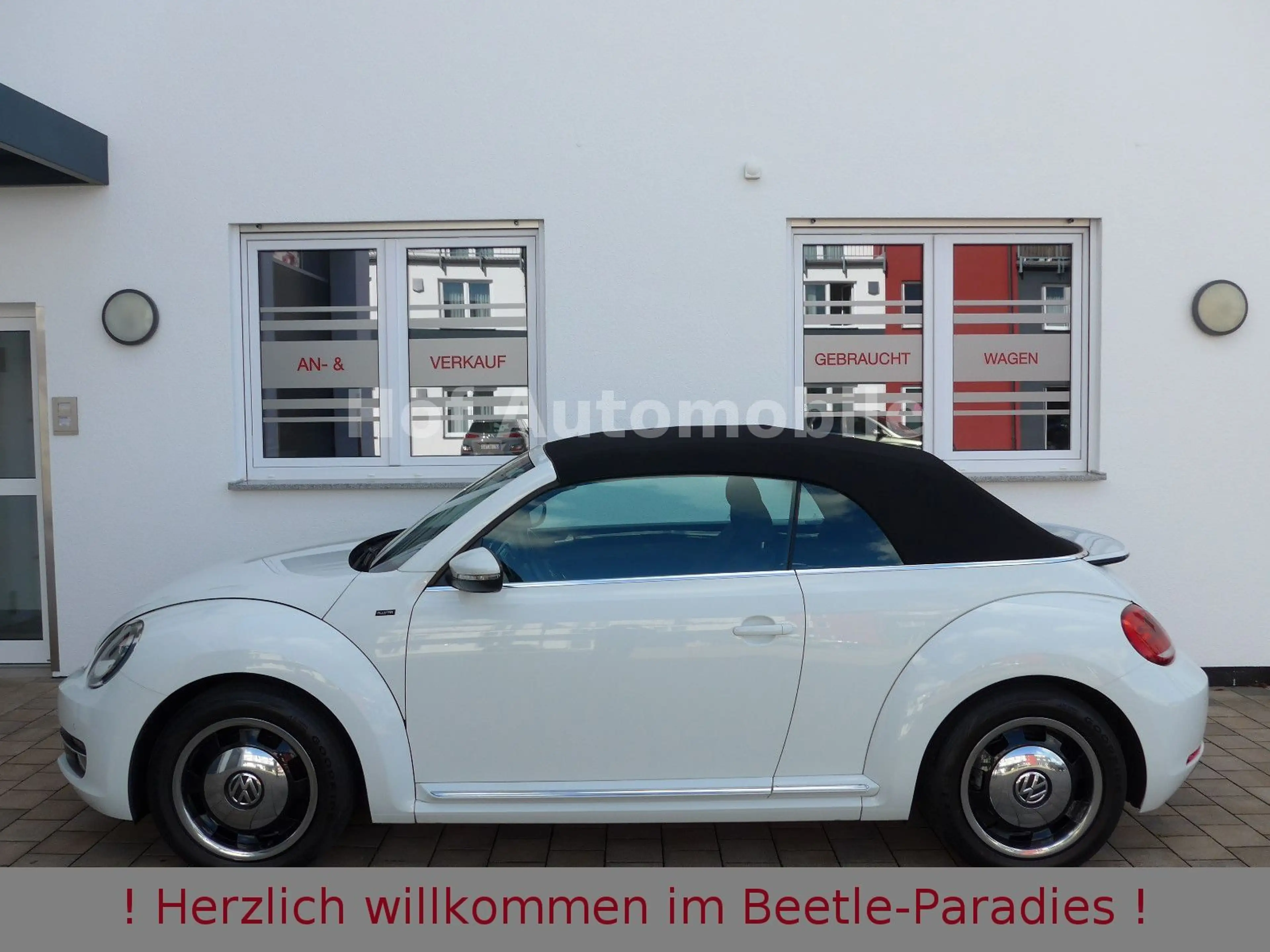 Volkswagen Beetle 1.4TSI Allstar-Plus Xenon Kamera AHK 1.HD — photo 8