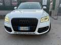 Audi Q5 Audi Q5 2.0 TDI 143 CV ADVANCED PLUS Blanc - thumbnail 1