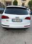 Audi Q5 Audi Q5 2.0 TDI 143 CV ADVANCED PLUS Blanc - thumbnail 5
