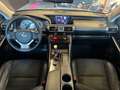 Lexus IS 300 IS 300h Pack Gri - thumbnail 12