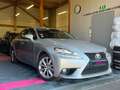 Lexus IS 300 IS 300h Pack Gri - thumbnail 5