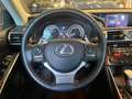 Lexus IS 300 IS 300h Pack Gri - thumbnail 13