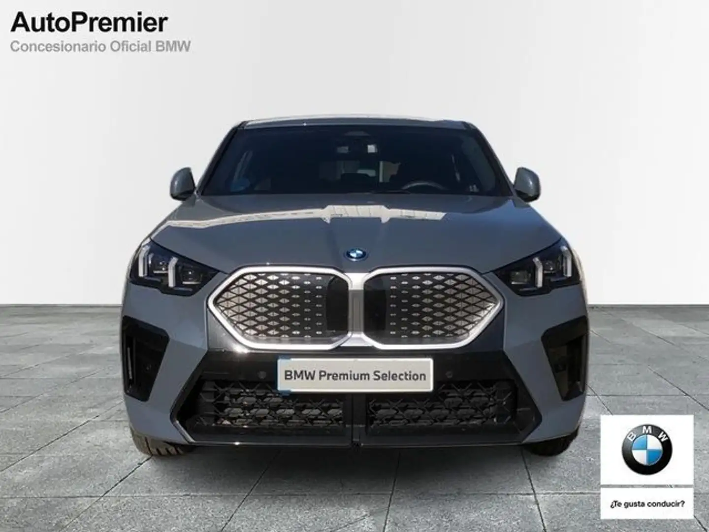 BMW iX2 xDrive30A Gris - 2