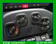 Fiat Panda 1.2 Lounge 69cv Grigio - thumbnail 13
