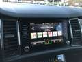 Skoda Kodiaq Drive 125 TSI LED PDC SHZ Grau - thumbnail 14