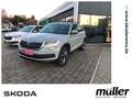 Skoda Kodiaq Drive 125 TSI LED PDC SHZ Grau - thumbnail 1