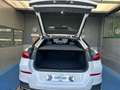BMW X6 xDrive 30dA xLine Blanco - thumbnail 22