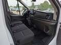 Ford Transit e-Transit 350 L2H2 KaWa Trend, Pro-Power, SHZ, RFK White - thumbnail 11