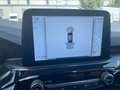 Ford Kuga 2.5 l Duratec Plug-In Hybrid (PHEV) ST-Line X Auto Blau - thumbnail 19